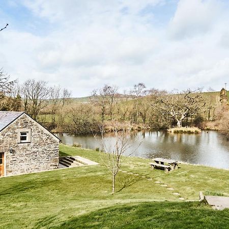 Penuwch Boathouse- Lakeside Rural Cottage Ideal For Families With Indoor Heated Pool 卡马森 外观 照片