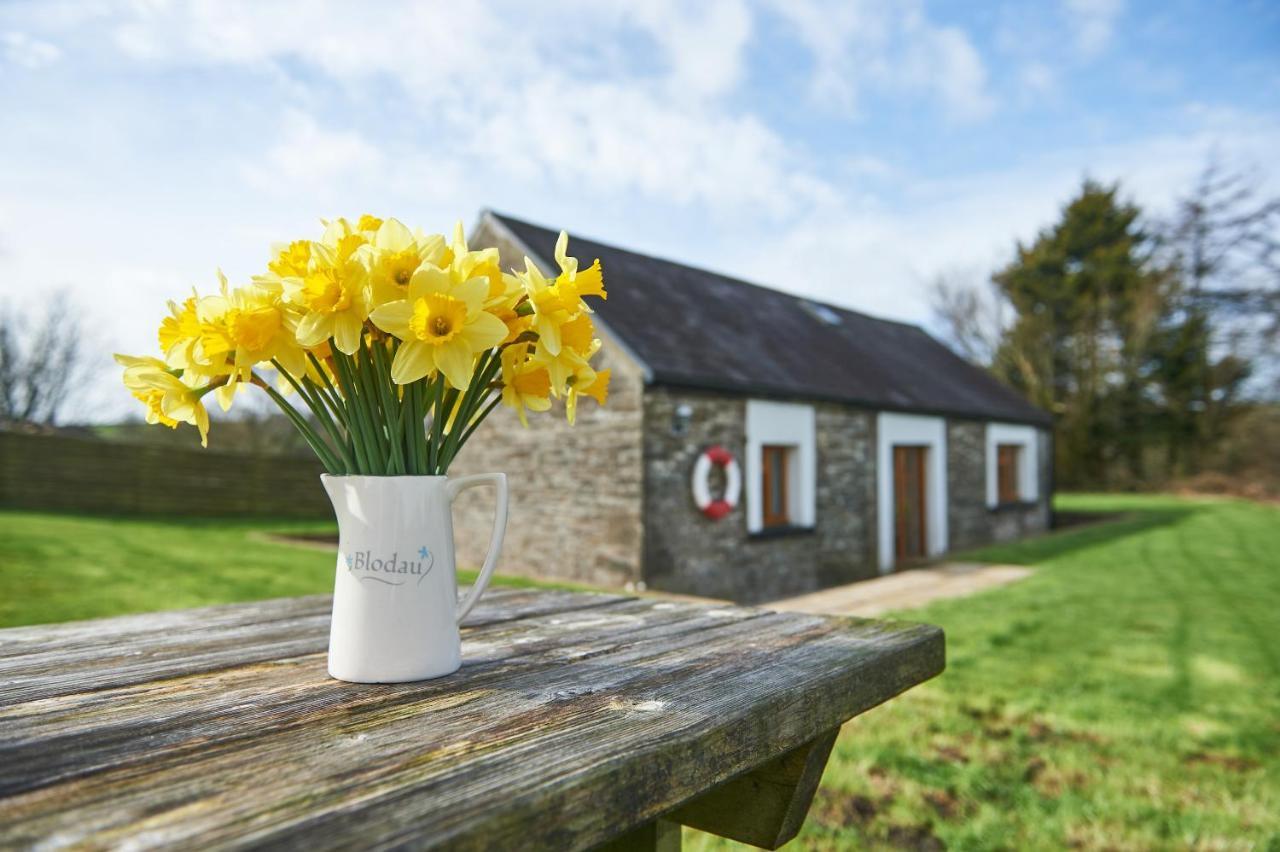 Penuwch Boathouse- Lakeside Rural Cottage Ideal For Families With Indoor Heated Pool 卡马森 外观 照片